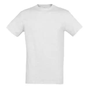 SOLS Mens Regent Short Sleeve T-Shirt (L) (Ash)