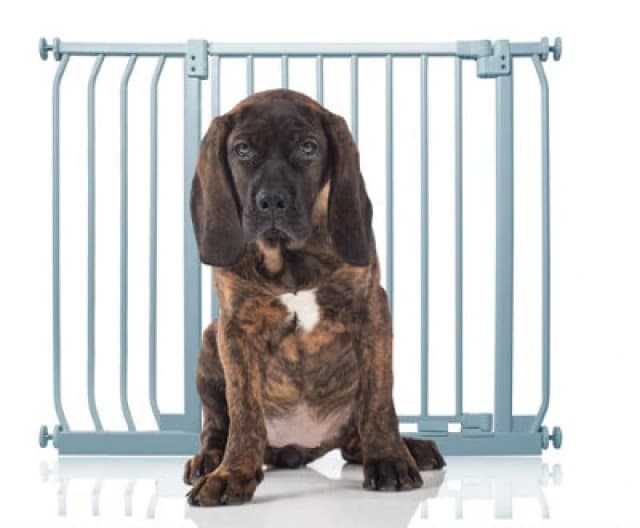 Bettacare Elite Pressure Dog Gate, 89Cm - 98Cm, Matt Grey, Pressure Fit Pet Gate For Dog And Puppy