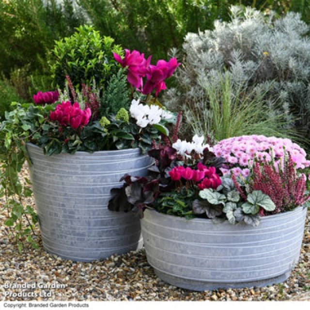 Garden Gear Caesar Composition Marble Effect Planter D46 X H52Cm