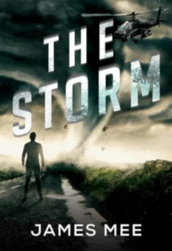 The Storm Paperback / softback