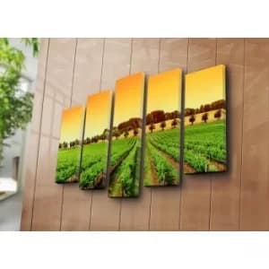 5PATK-127 Multicolor Decorative Canvas Painting (5 Pieces)