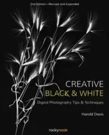Creative Black and White