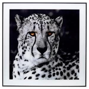 Decor Picture Square Large Cheetah