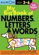my big book of numbers letters and words