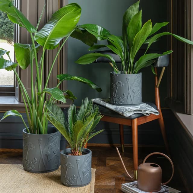 Ivyline Kew Stoneware Meadow Planter - Stoneware - L24 X W24 X H24cm - Grey