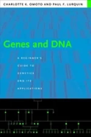 genes and dna