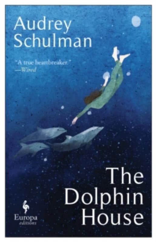 The Dolphin House : A moving novel on connection and community Paperback / softback