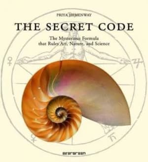 The Secret Code Paperback