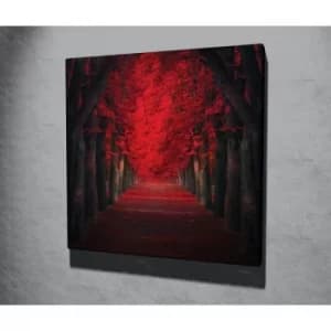 KC262 Multicolor Decorative Canvas Painting