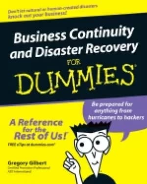 it disaster recovery planning for dummies