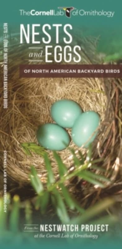 Nests and Eggs of North American Backyard Birds Pamphlet