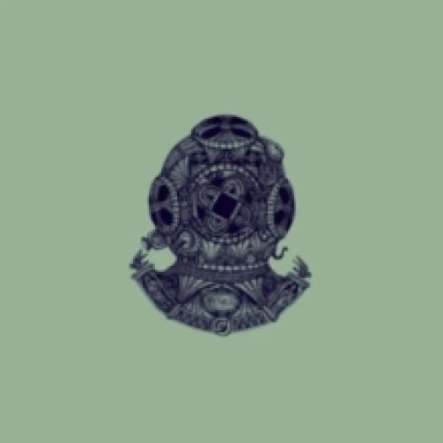 Haelligewielle Vinyl