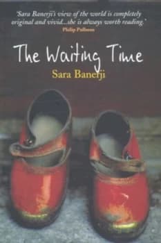 The Waiting Time by Sara Banerji Paperback