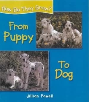 From Puppy to Dog by Jillian Powell Hardback
