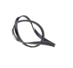 RIDEX V-ribbed belt RENAULT,PEUGEOT,HYUNDAI 305P0016 128059,24100557,7743660 38920P08003,38920P08004,38920P75A010,38920P75A02,38920PM3003,38920PM30030