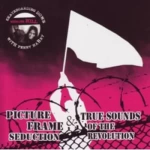 Picture Frame Seduction & True Sound Of The Revolution Skateboarding Down Merlins Hill With Penny Harry CD