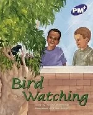 PM Purple: Bird Watching (PM Plus Storybooks) Level 19