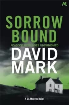 Sorrow Bound : The 3rd DS McAvoy Novel