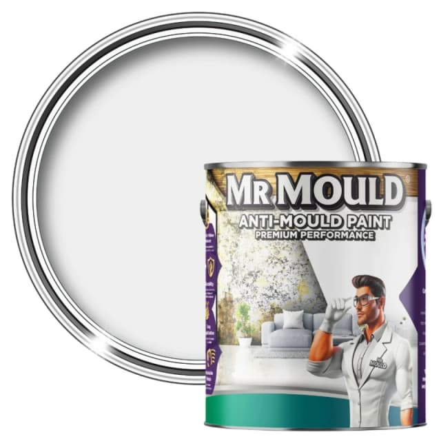 MR MOULD Anti-Mould Paint - 1L - Best Anti Mould Protection Paint for all Interior Walls & Ceilings in Light Grey Light Grey Unisex 1L