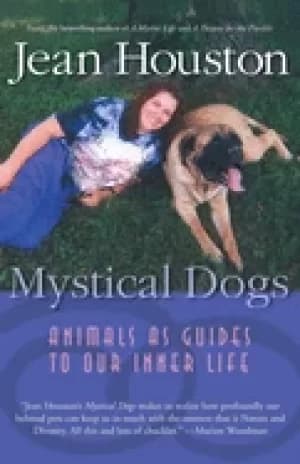 mystical dogs animals as guides to our inner life