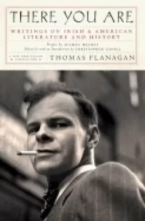 there you are writings on irish and american literature and history