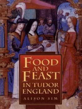 Food and Feast in Tudor England by Alison Sim Hardback