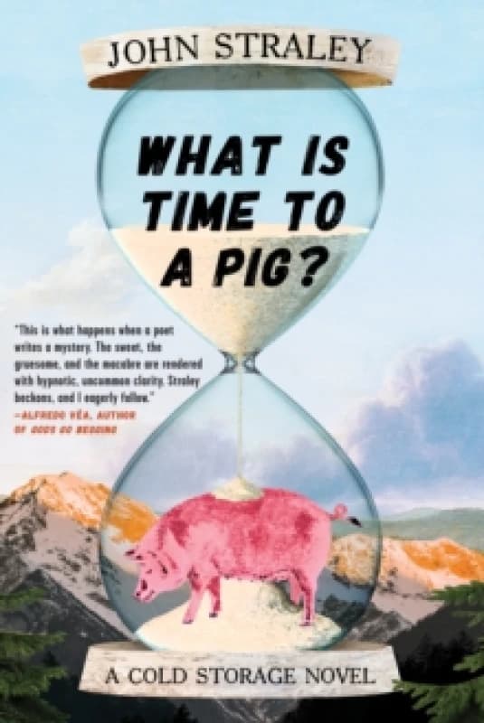 What Is Time To A Pig? Paperback / softback