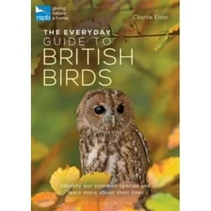 The Everyday Guide to British Birds : Identify our common species and learn more about their lives