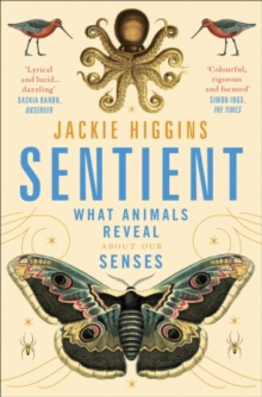 Sentient : What Animals Reveal About Human Senses Paperback / softback