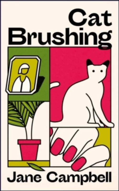 Cat Brushing : a dazzling short story collection about thirteen older women Paperback / softback