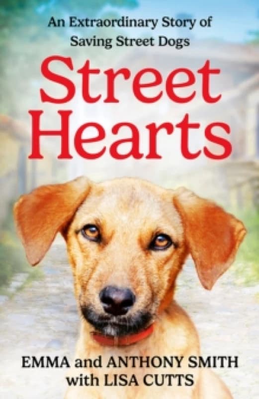 Street Hearts. Paperback. By Emma Smith, Anthony Smith, Lisa Cutts Books
