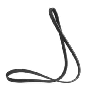 RIDEX V-ribbed belt RENAULT,NISSAN,DACIA 305P0521 6001543795,11920BX005,7700850114