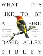 what its like to be a bird