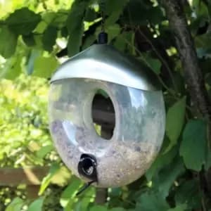 Deluxe Donut Wild Bird Feed Seed Feeder