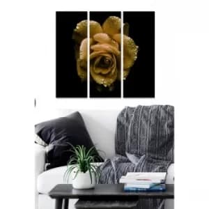 MDF655359 Multicolor Decorative MDF Painting (3 Pieces)