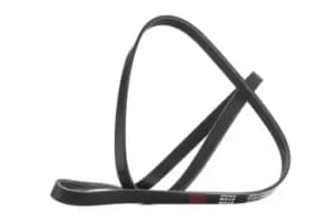 RIDEX V-ribbed belt OPEL,FIAT,SUZUKI 305P0041 55350421,55350421,55350421 Serpentine belt,Auxiliary belt,Poly V-belt,Ribbed belt,Multi V-belt,Poly belt