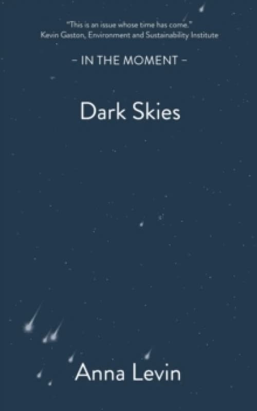 Dark Skies Paperback / softback