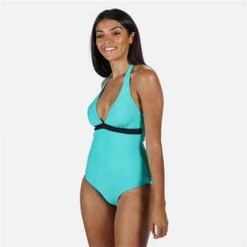 Regatta Flavia Swimming Costume - Ceramic