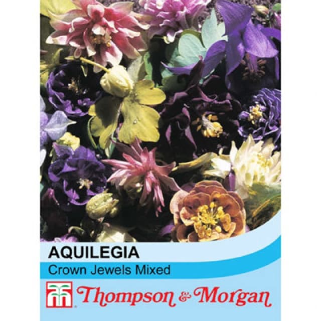Thompson & Morgan Aquilegiaxhybrida Crown Jewels Mixed 1 Packet (20 Seeds)