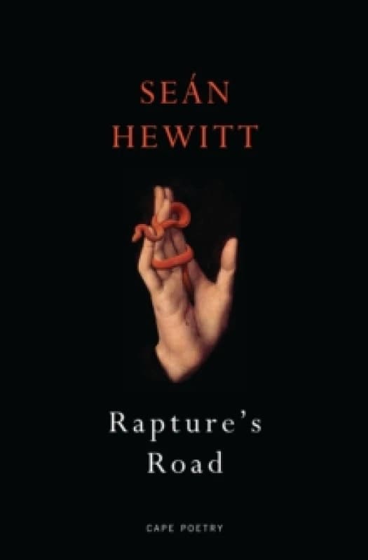 Rapture's Road : from the author of All Down Darkness Wide Paperback / softback