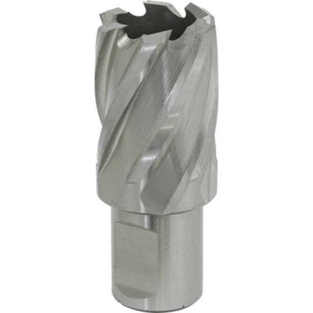Loops 25mm x 25mm Depth Rotabor Cutter - M2 Steel Annular Metal Core Drill 19mm Shank Metallics