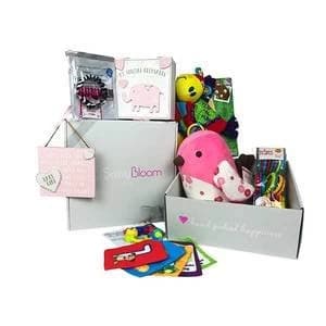 Sassy Bloom New Baby Girl / Baby Shower Newborn Gift Luxury