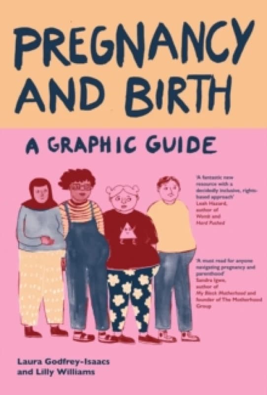 Pregnancy and Birth: A Graphic Guide Paperback / softback