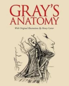 Grays Anatomy Hardback