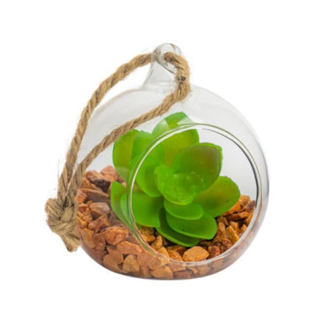 Nicola Spring Hanging Glass Terrarium - 8Cm - Clear