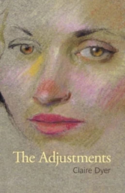 The Adjustments Paperback / softback