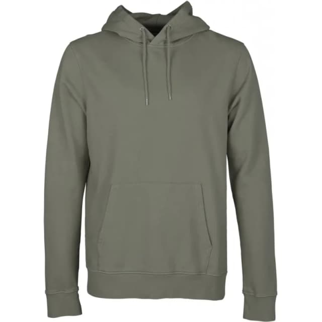 Colorful Standard Hoodie Colorful Standard Classic Organic dusty olive Vert Unisex S