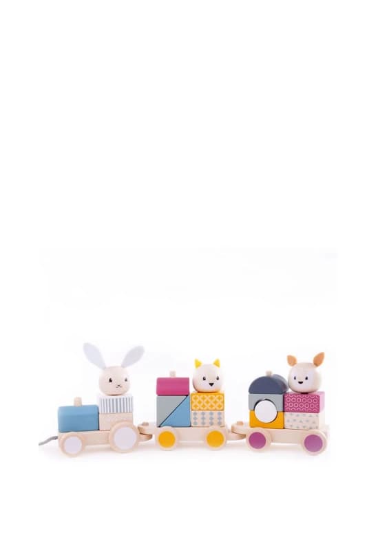 Bigjigs Toys Activity Pull Along Train Toy Baby Blue unisex