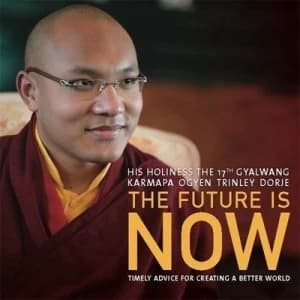 The Future Is Now by His Holiness Gyalwa Karmapa Ogyen Trinley Dorje Book