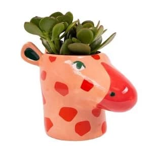 Giraffe Plant Pot